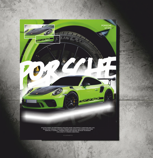 POSTER polycarbone PORSCHE GREEN VUE GLOBALE